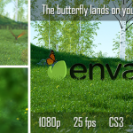 Videohive Butterfly Logo Reveal 6735223