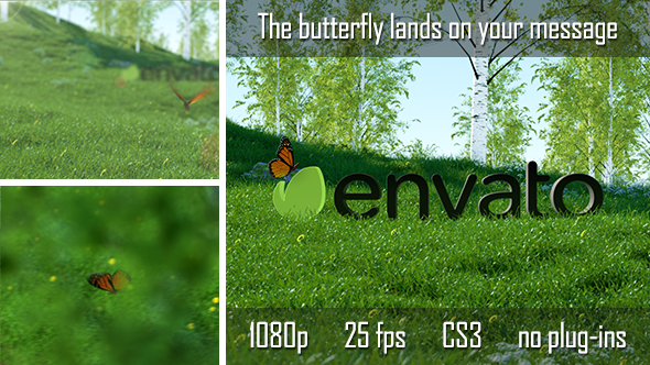 Videohive Butterfly Logo Reveal 6735223