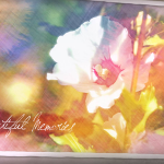 Videohive Painted Postcards