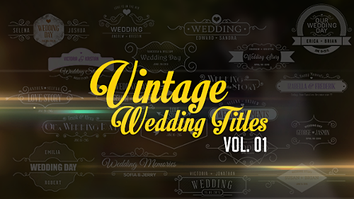 Videohive Vintage Wedding Titles vol 01 10979823