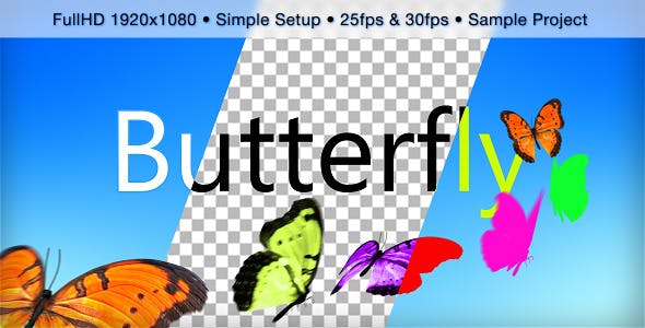 Videohive Butterfly 9199436