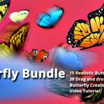 Videohive Butterfly Bundle 20777523