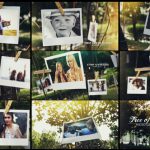 Videohive Tree of Life Photo Gallery 15795143