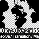 Videohive 2 Ink Flowing in Water Transition  Matte  Mask