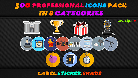 Videohive 300 Professional Icons Pack 18137534