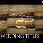 Videohive 44 Wedding Titles 17622074
