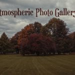 Videohive Atmospheric Photo Gallery 4K 24853101