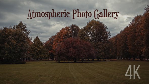 Videohive Atmospheric Photo Gallery 4K 24853101