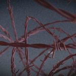 Videohive Barbed Wire