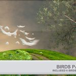 Videohive Birds Pack 4980486