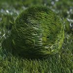 Videohive Bouncy Grass Ball Logo Reveal