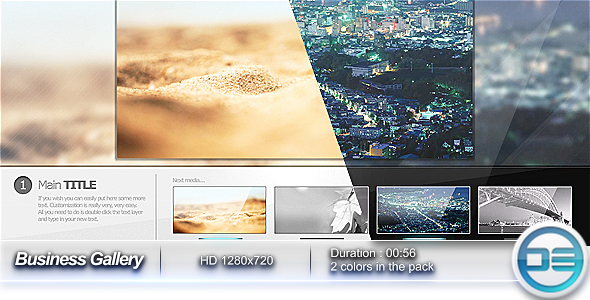 Videohive Business Gallery 131811