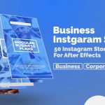 Videohive Business Instagram Stories 23042927
