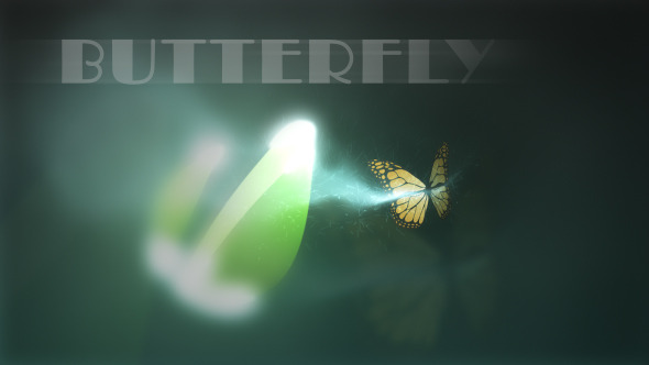 Videohive Butterfly Logo Reveal 280982