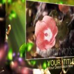 Videohive Butterfly.Forest
