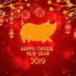 Videohive Chinese New Year 2019 21355711