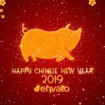 Videohive Chinese New Year Greetings 2019 19340637