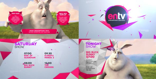 Videohive ENTV Broadcast Pack 5286093