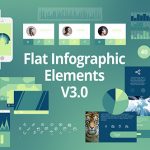 Videohive Flat Infographic Elements V3 - 8498708
