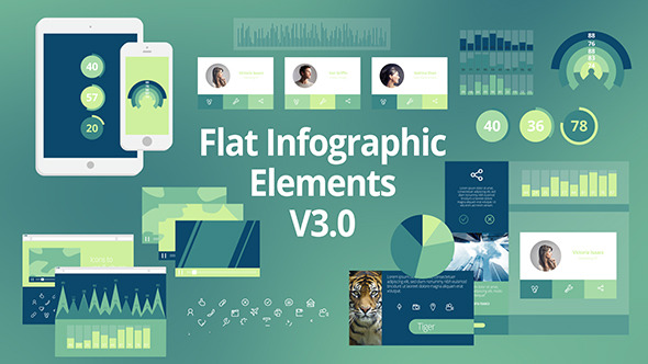Videohive Flat Infographic Elements V3 - 8498708