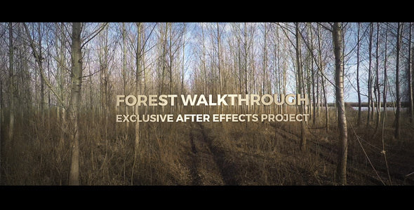 Videohive Forest Walkthrough 15292093