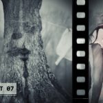 Videohive Forget Me Not 5188996