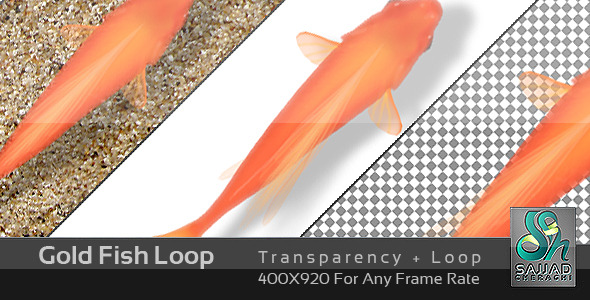 Videohive Gold Fish Loop 682533