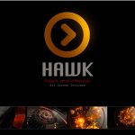 Videohive Hawk Logo 19866869