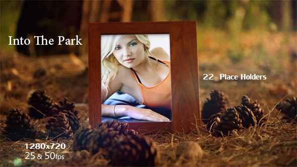 Videohive Into The Park 5533893