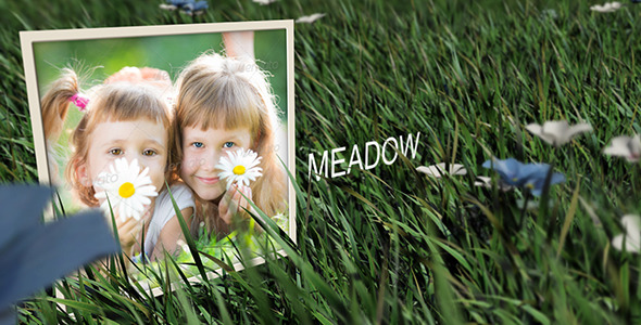 Videohive Meadow