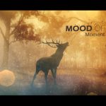 Videohive Mood Of Moments Parallax Opener 20672854