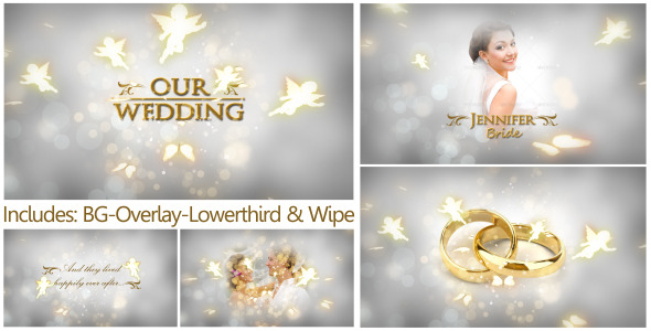 Videohive Our Wedding 3070198