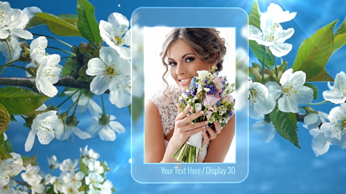 Videohive Photo Gallery Spring Blossoms