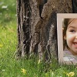 Videohive Photo Gallery in a Sunny Park 7762906
