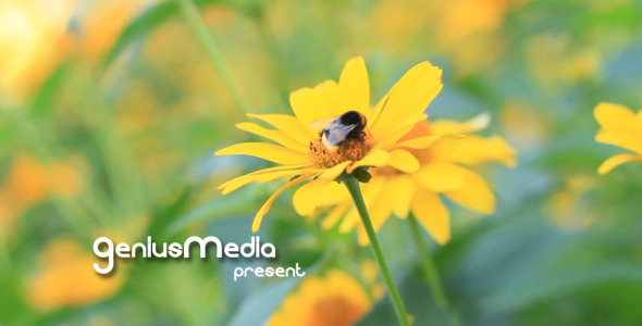 Videohive Photo Gallery on a Flower Holiday