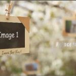 Videohive Photos Hanging in an Orchard 4723047