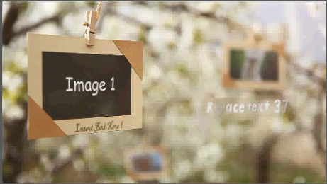 Videohive Photos Hanging in an Orchard 4723047