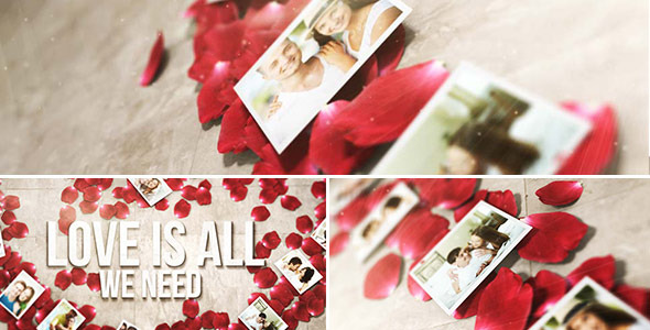 Videohive Rose Petals Heart - Photo Gallery 5315746