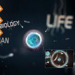 Videohive Science Physics Biology Intro 19172456