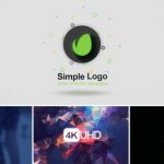 Videohive Simple Logo Reveal 20503271