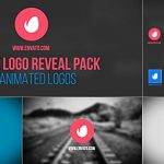 Videohive Simple Logo Reveal Pack
