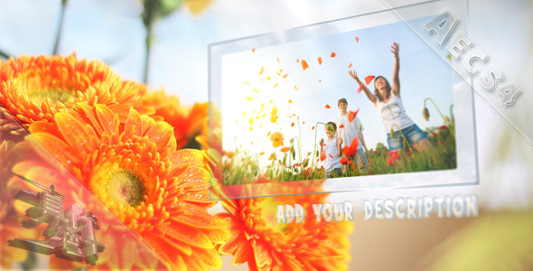 Videohive Sunny Flowers