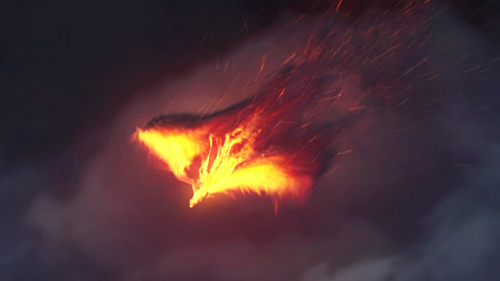 Videohive The Pheonix - Fire Reveal 17440466
