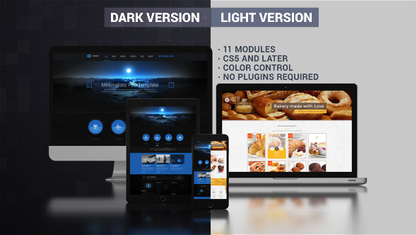 Videohive Website Presentation (Dark - Light) 9725975