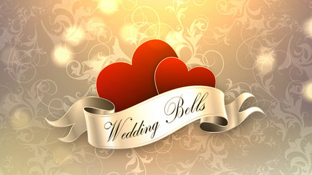 Videohive Wedding Bells - A Dream Wedding Pack