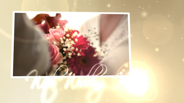 Videohive Wedding Hearts CS4.153475