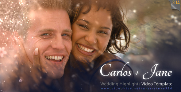 Videohive Wedding Highlights Video Template