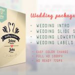 Videohive Wedding Package 5999693
