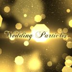 Videohive Wedding Particles Opener 14728826