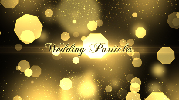 Videohive Wedding Particles Opener 14728826